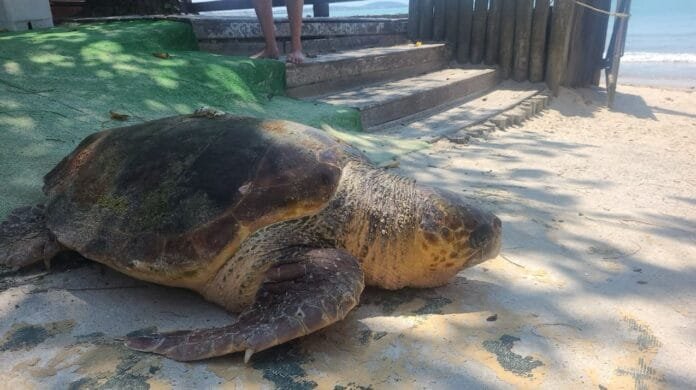 WhatsApp Image 2024-11-05 at 16.47.28