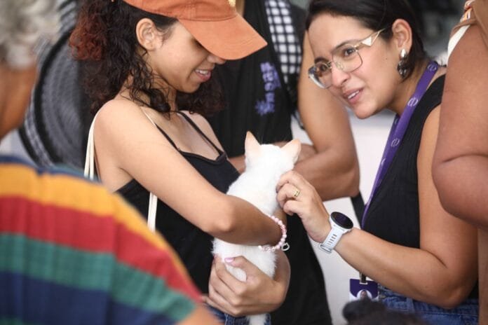 WhatsApp Image 2025-02-17 at 11.32.57