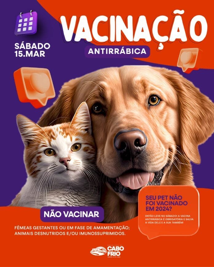 WhatsApp Image 2025-03-12 at 15.41.43