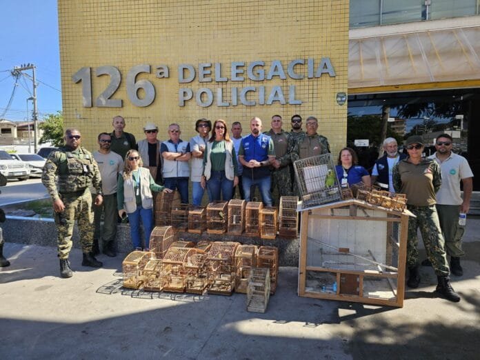 WhatsApp Image 2025-05-21 at 20.11.52