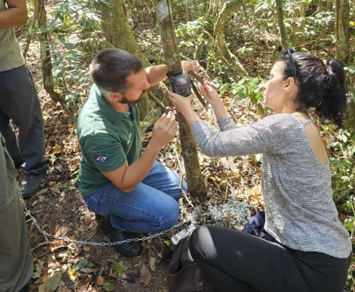 WhatsApp Image 2025-08-29 at 13.54.40