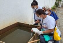 Rio das Ostras reforça manutenção e intensifica ações de combate à dengue nos cemitérios antes do Dia de Finados