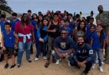 Tartaruga-verde retorna ao mar em Barra de São João com participação de alunos da rede pública