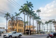 Macaé sedia o 8º Encontro Fluminense de Arborização Urbana em dezembro Prédio histórico amarelo do Paço Municipal de Macaé ao lado de fileiras de palmeiras altas, com veículos passando pela rua em primeiro plano. - Fotos : Bruno Moisés