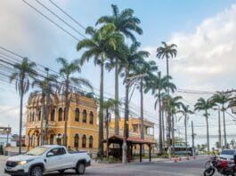 Prédio histórico amarelo do Paço Municipal de Macaé ao lado de fileiras de palmeiras altas, com veículos passando pela rua em primeiro plano. - Fotos : Bruno Moisés