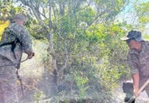 Defesa Ambiental age rápido e evita danos à ARIE de Itapebussus