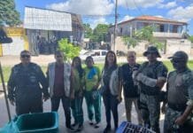 Guarda Civil Municipal de Cabo Frio resgata gavião-sorridente ferido no Jardim Esperança