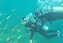 Arraial do Cabo recebe Arraial Diving Festival com mergulho, fotografia subaquática e atrações gratuitas Foto de duas pessoas em mergulho submarino em aguas claras e com muito peixes em volta