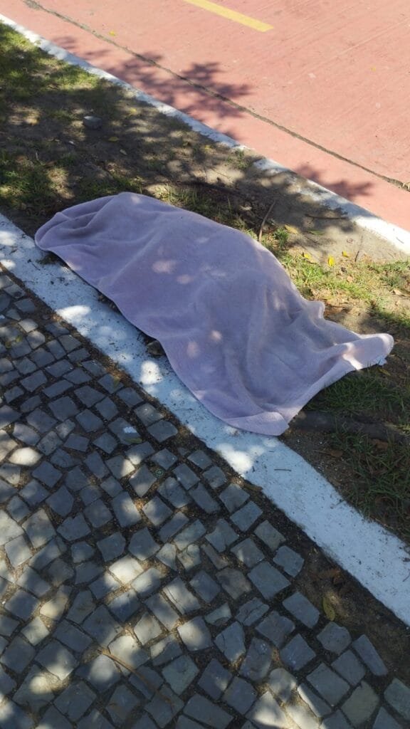 Cão comunitário morre após atropelamento em Macaé e caso é investigado
