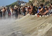 FIPAC abre cadastramento de pescadores artesanais em Arraial do Cabo Foto de varios pescadores juntos na areia da uma praia em arraial do cabo puxando uma rede de pesca com muito pexes nela