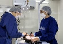 Castramóvel chega a Cantagalo com castração gratuita para cães e gatos em Rio das Ostras Foto de medicos veterinarios em operação de castração de um animal domestico