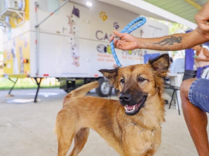 Equipe do Castramóvel realiza atendimento veterinário gratuito para cães e gatos em Rio das Ostras.