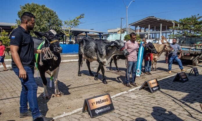 Expo Macaé 2026 destaca inovação e negócios no agronegócio A Expo Macaé 2026 será palco, nos dias 27 e 28 de julho