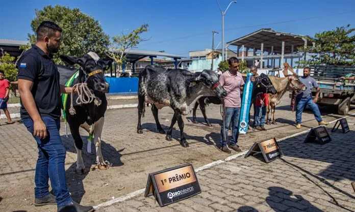 Expo Macaé 2026 destaca inovação e negócios no agronegócio A Expo Macaé 2026 será palco, nos dias 27 e 28 de julho