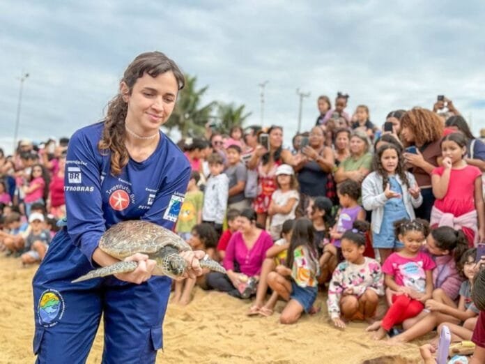 Tartaruga-verde é solta na Praia do Abricó após passar por processo de reabilitação realizado pelo Instituto BW.