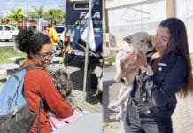 Cães e gatos recebem castração gratuita em Barra de São João Tutores participaram da mobilização acompanhados de seus cães e garantiram atendimento na ação gratuita, que promove cuidados com a saúde e o bem-estar animal.