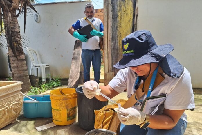 Controle de vetores em Macaé: veja os bairros atendidos Agente da Vigilância Ambiental em Saúde realiza atividade de controle de vetores em Macaé.