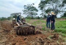 Plantio de milho e feijão começa em Cantagalo, na área rural de Rio das Ostras Plantio de milho e feijão em Cantagalo, na área rural de Rio das Ostras.