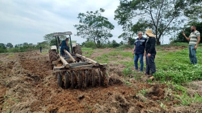 Plantio de milho e feijão começa em Cantagalo, em Rio das Ostras Plantio de milho e feijão em Cantagalo, na área rural de Rio das Ostras.