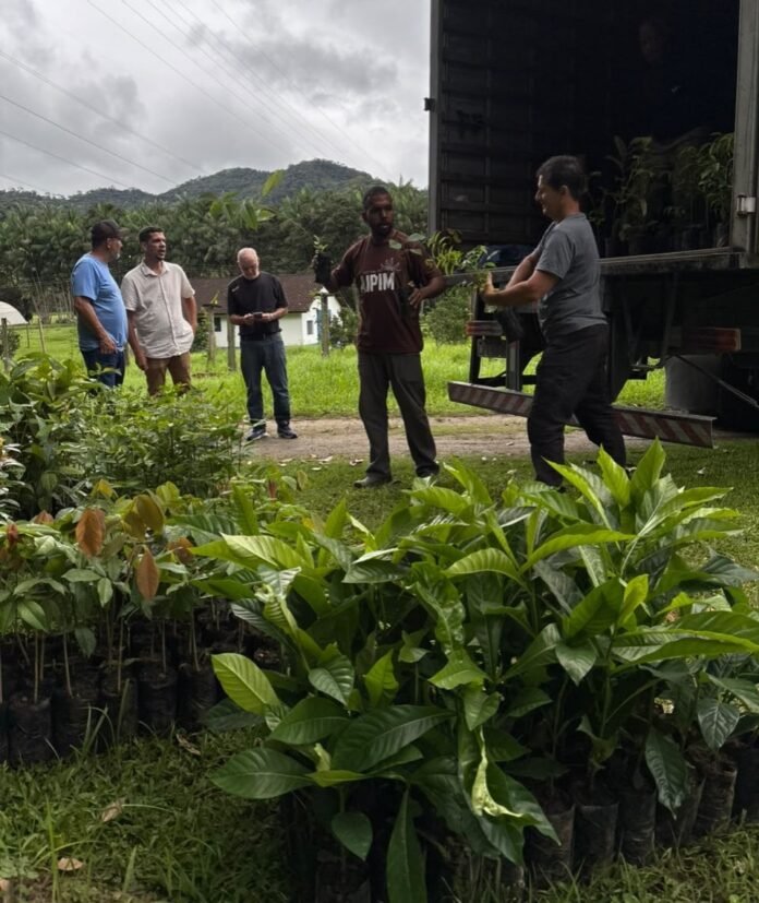 Secretário de Agricultura e Pesca apresenta mudas recebidas por Casimiro de Abreu em doação da Cedae.
